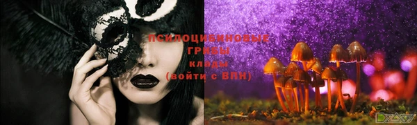 спайс Абдулино