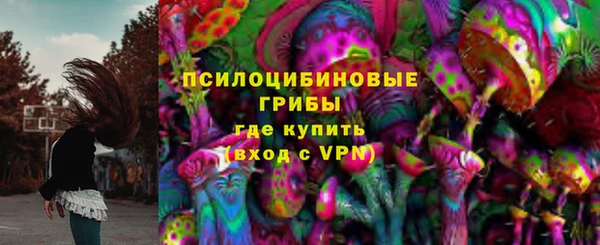 прущий лед Абаза