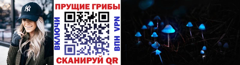 Псилоцибиновые грибы ЛСД Костомукша